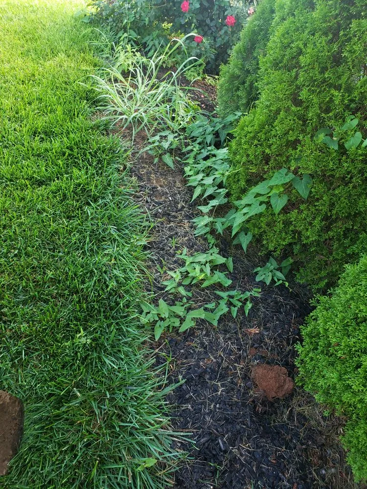 Affordable garden landscaping in Lexington, KY by Silva's Landscaping