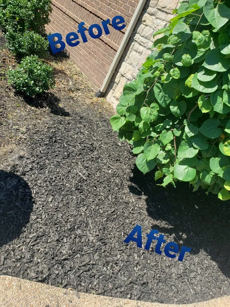 Top-rated yard cleanup service in Lexington, KY by Silva's Landscaping