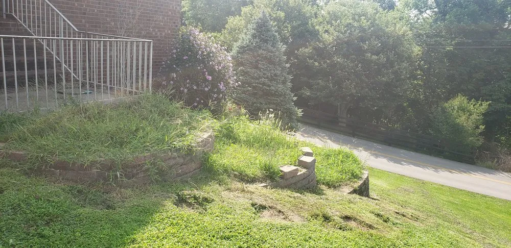 Expert yard cleanup service for year-round maintenance in Lexington, KY by Silva's Landscaping