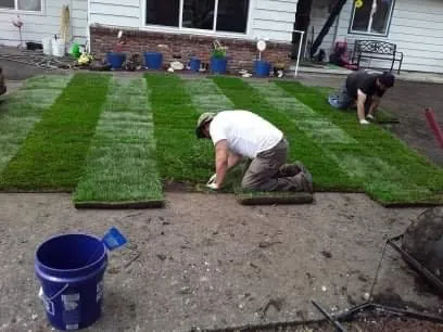 Reliable yard maintenance for beautiful yards across Salem, OR - Silva's Lawn Care