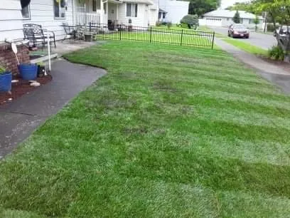 Professional outdoor landscaping experts serving Salem, OR - Silva's Lawn Care