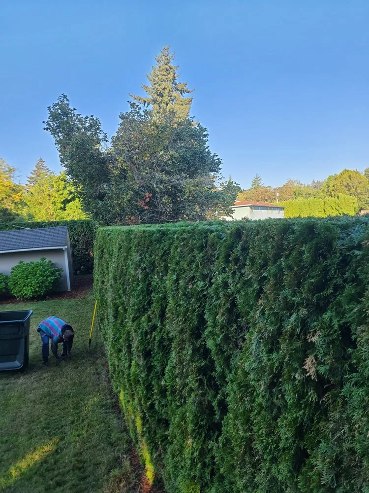 Custom landscape installation in Salem, OR by Silva's Lawn Care