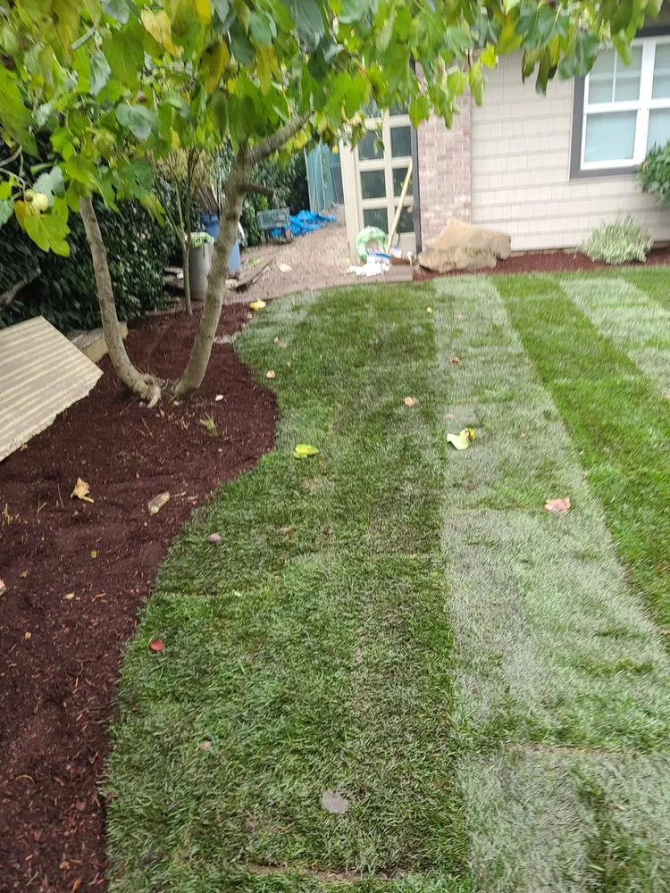 Trusted landscaping services for year-round maintenance across Salem, OR - Silva's Lawn Care