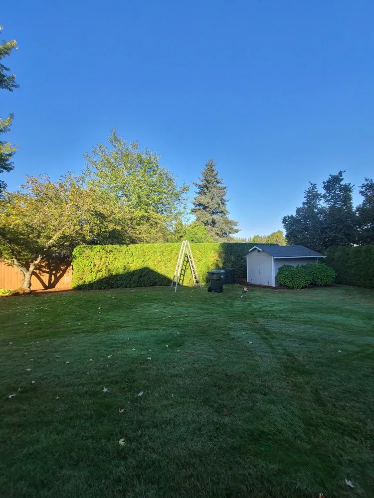 Expert lawn care service in Salem, OR by Silva's Lawn Care