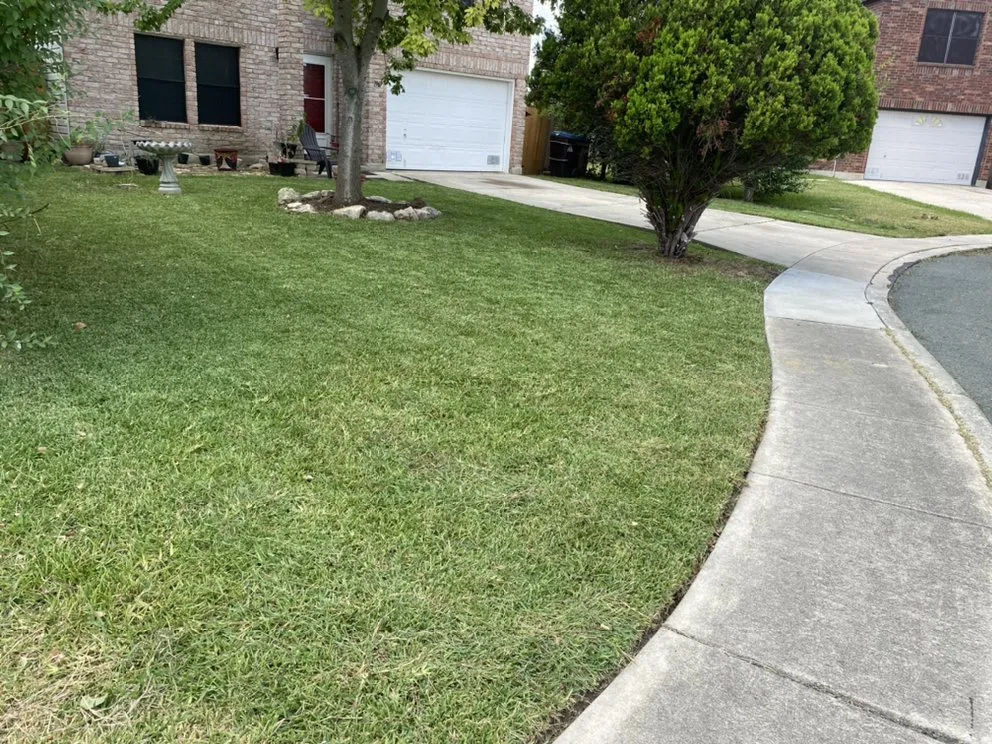 Affordable outdoor landscaping experts serving Texas City, TX - Silva's Lawn Service