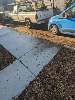 Silva's Tree Trimming & Landscaping Service Logo