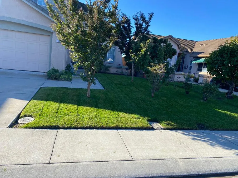 Custom yard cleanup service for beautiful yards across Tracy, CA - SILVA’S YARDS MAINTENANCE AND LANDSCAPING