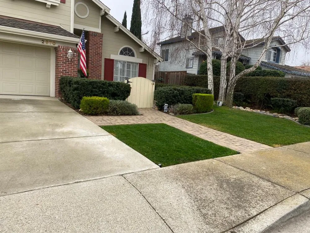 Trusted yard maintenance experts serving Tracy, CA - SILVA’S YARDS MAINTENANCE AND LANDSCAPING