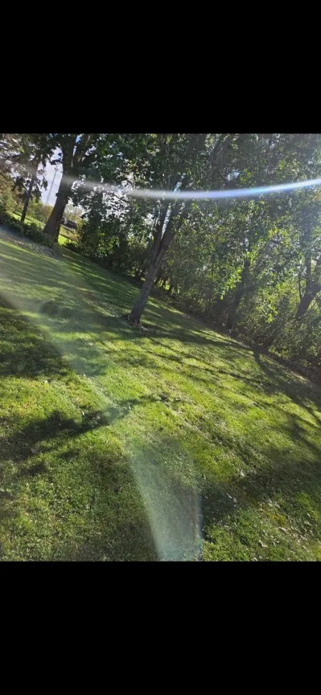 Expert yard maintenance for year-round maintenance in Kandiyohi, MN by Silver Bullet Yard Services