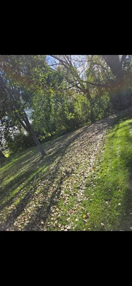 Reliable landscape installation experts serving Kandiyohi, MN - Silver Bullet Yard Services