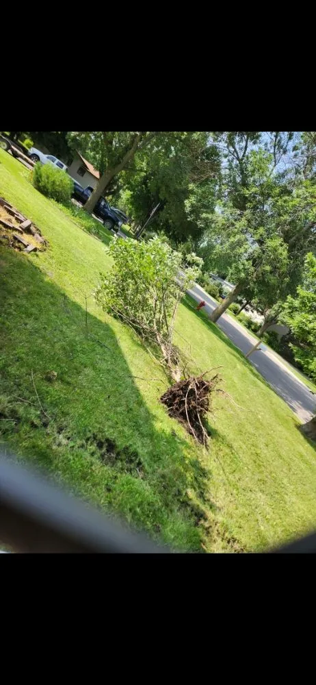 Custom landscaping services for outdoor upgrades across Kandiyohi, MN - Silver Bullet Yard Services