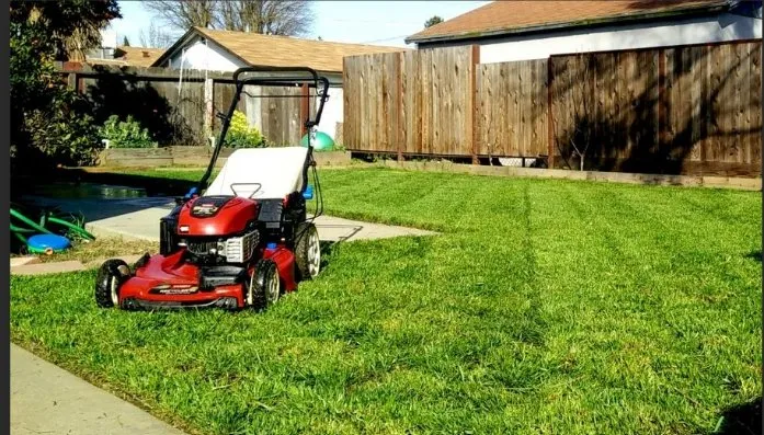 Trusted residential landscaping in Clarksville, TN by Silver