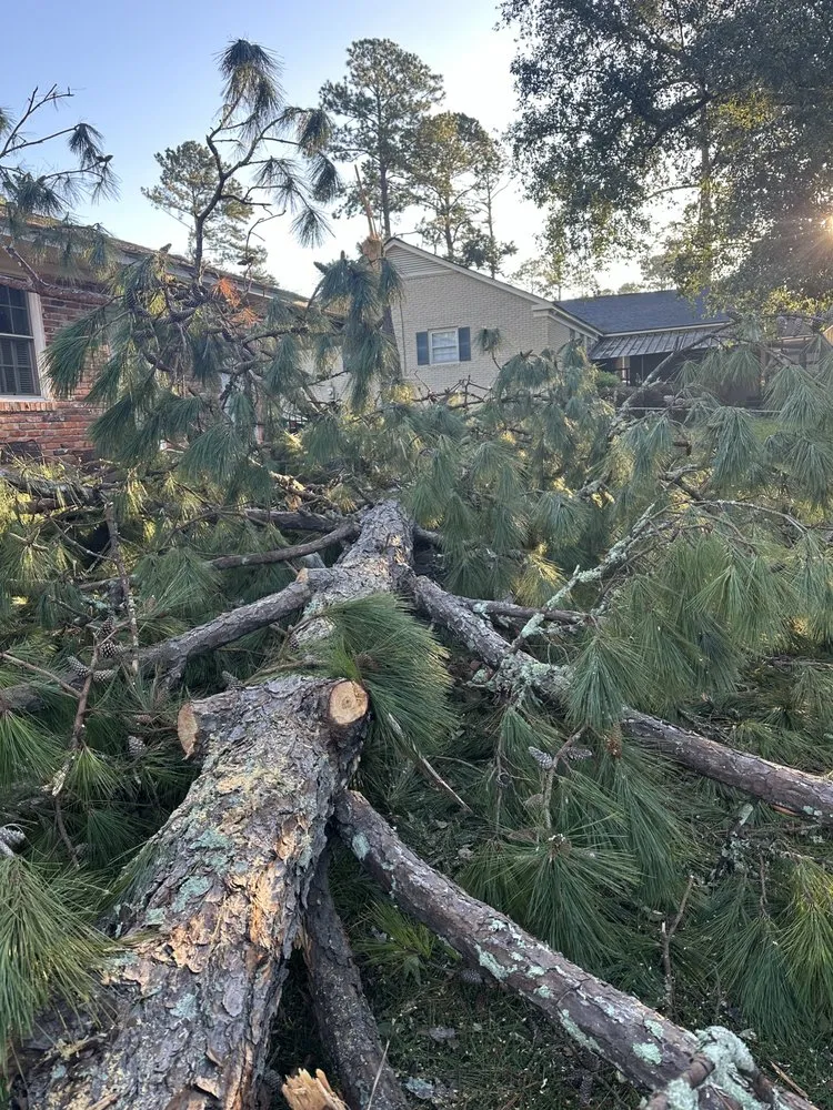 Trusted yard maintenance in Silver Creek, GA - Silver Creek Dirt Works