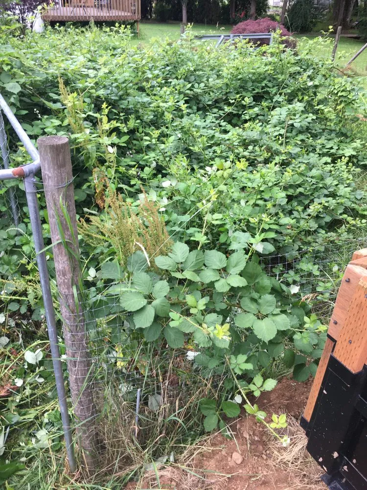 Custom outdoor landscaping for year-round maintenance in Tualatin, OR by Silver Creek Lawn Maintenance