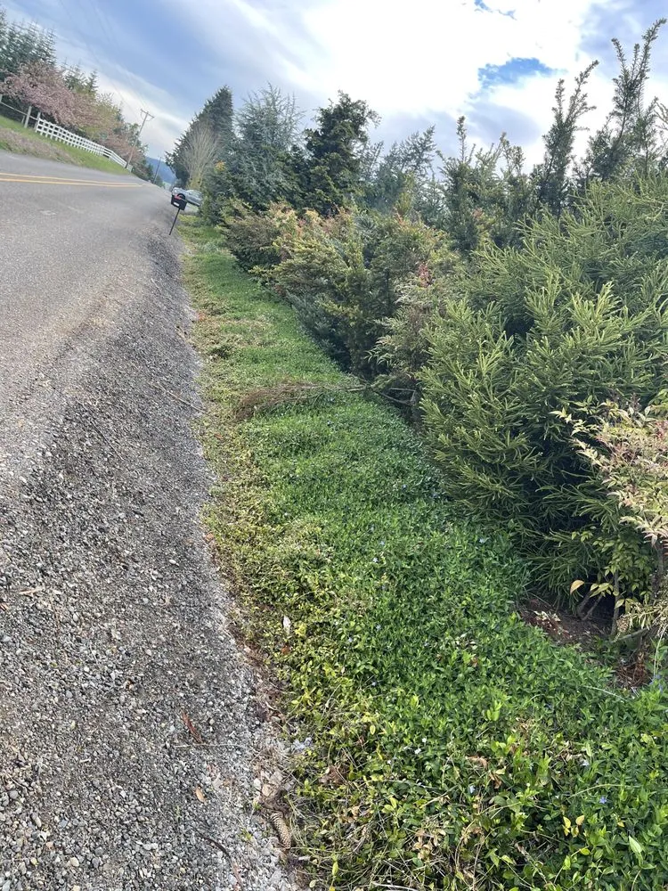 Trusted landscaping services experts serving Tualatin, OR - Silver Creek Lawn Maintenance