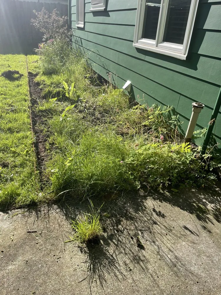 Expert lawn mowing service in Tualatin, OR - Silver Creek Lawn Maintenance