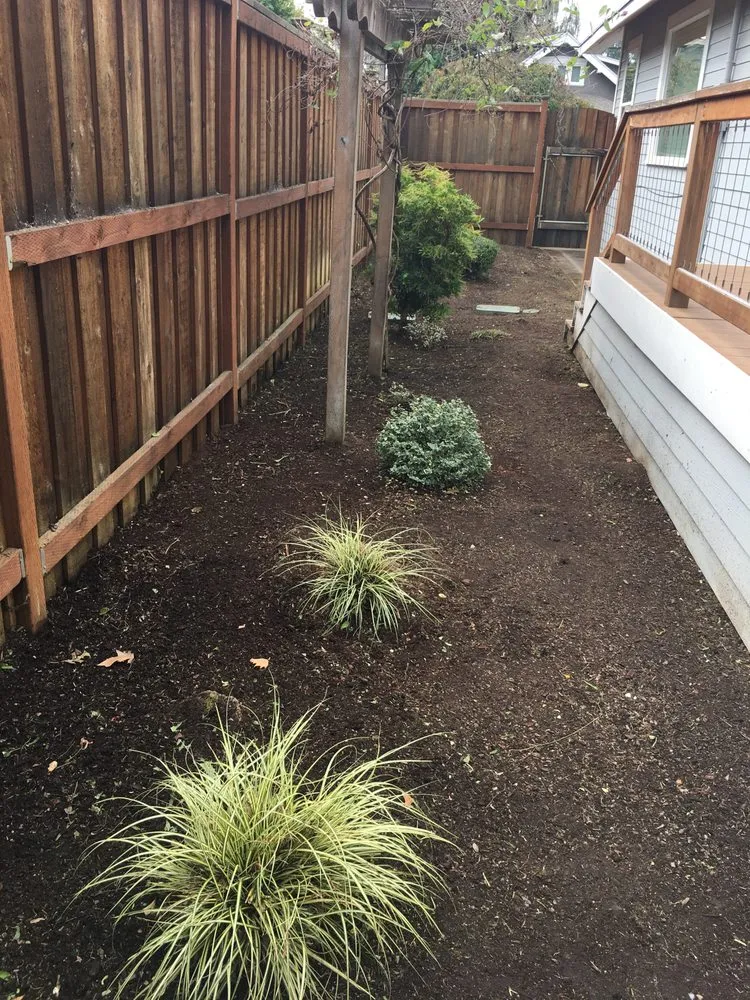 Reliable landscaping services experts serving Tualatin, OR - Silver Creek Lawn Maintenance