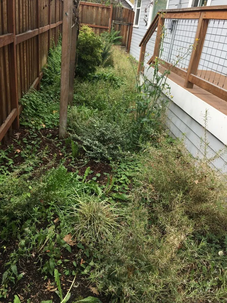 Reliable landscaping services experts serving Tualatin, OR - Silver Creek Lawn Maintenance