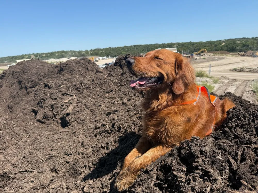 Trusted landscape design in Fort Worth, TX - Silver Creek Materials