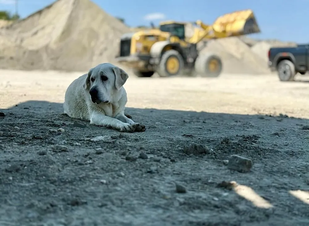 Reliable landscape design for year-round maintenance across Fort Worth, TX - Silver Creek Materials