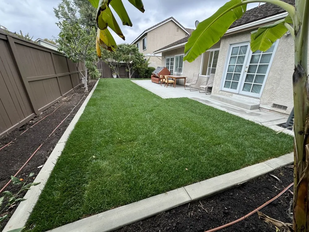 Local lawn mowing service in Santa Ana, CA by Silver Crest Landscape