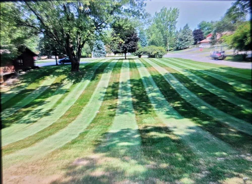 Professional yard cleanup service in Hastings, MI by Silver Edge Pro Lawn Care