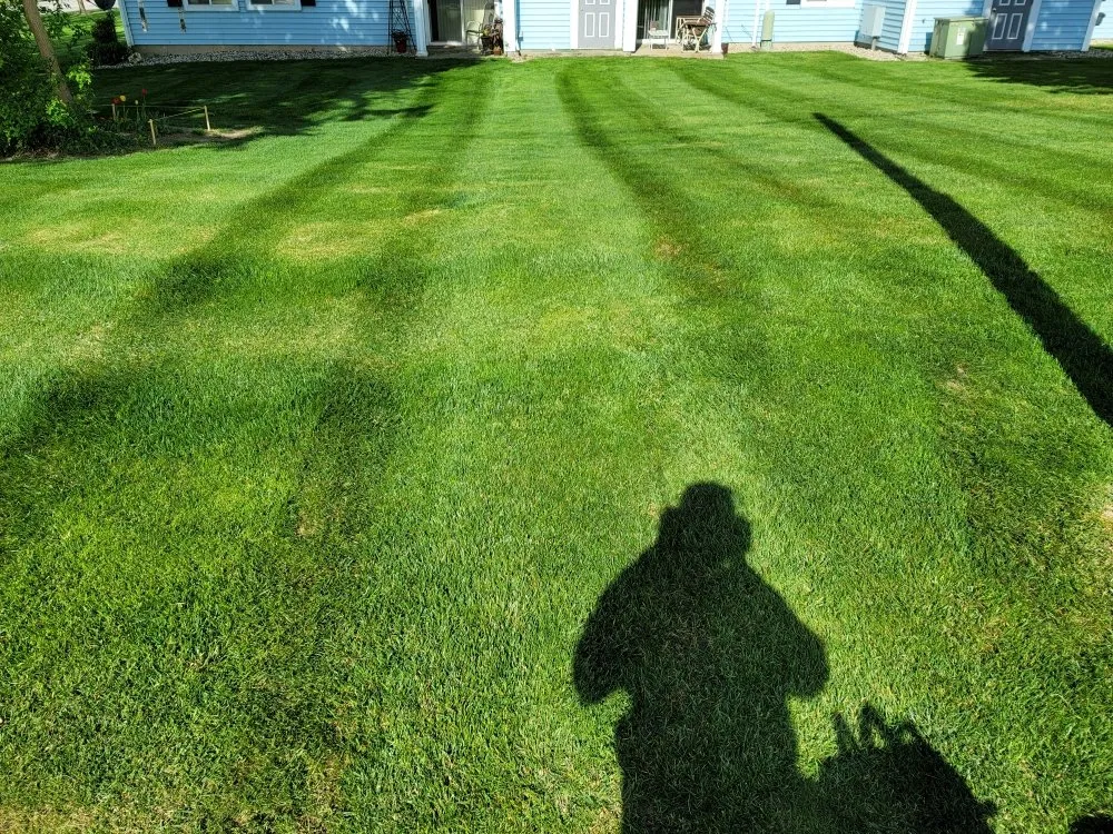 Expert landscaping services experts serving Hastings, MI - Silver Edge Pro Lawn Care