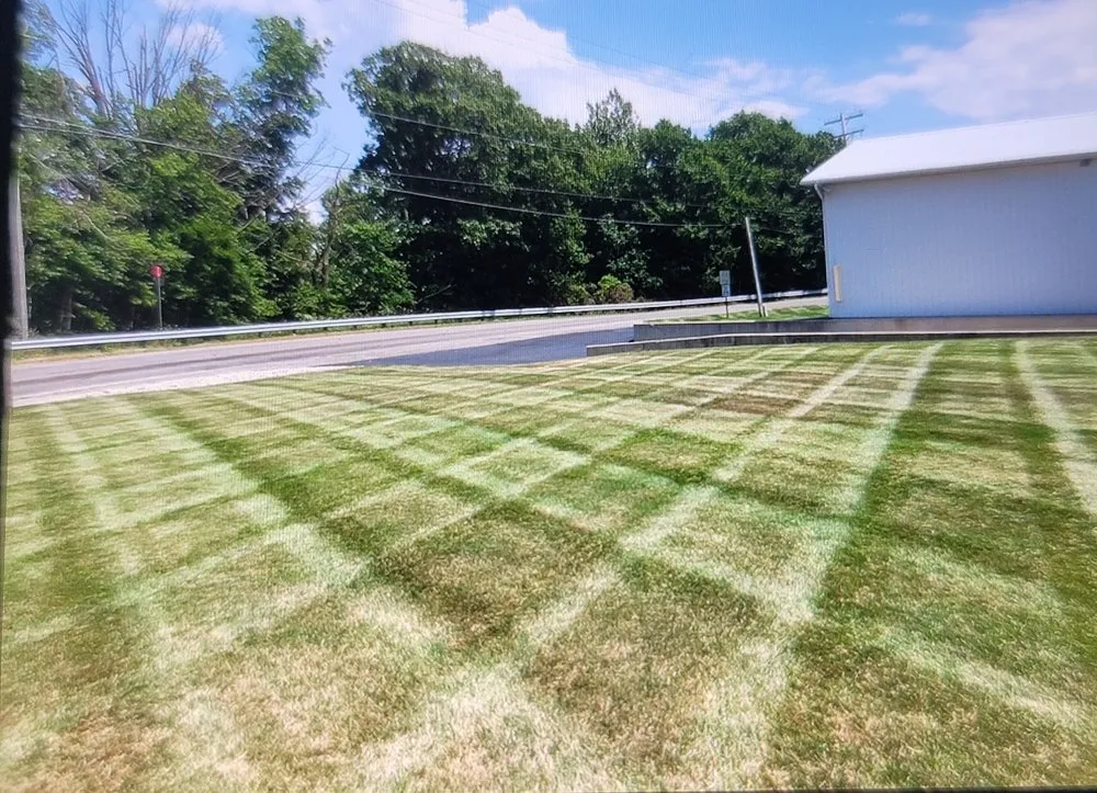 Local yard cleanup service in Hastings, MI by Silver Edge Pro Lawn Care