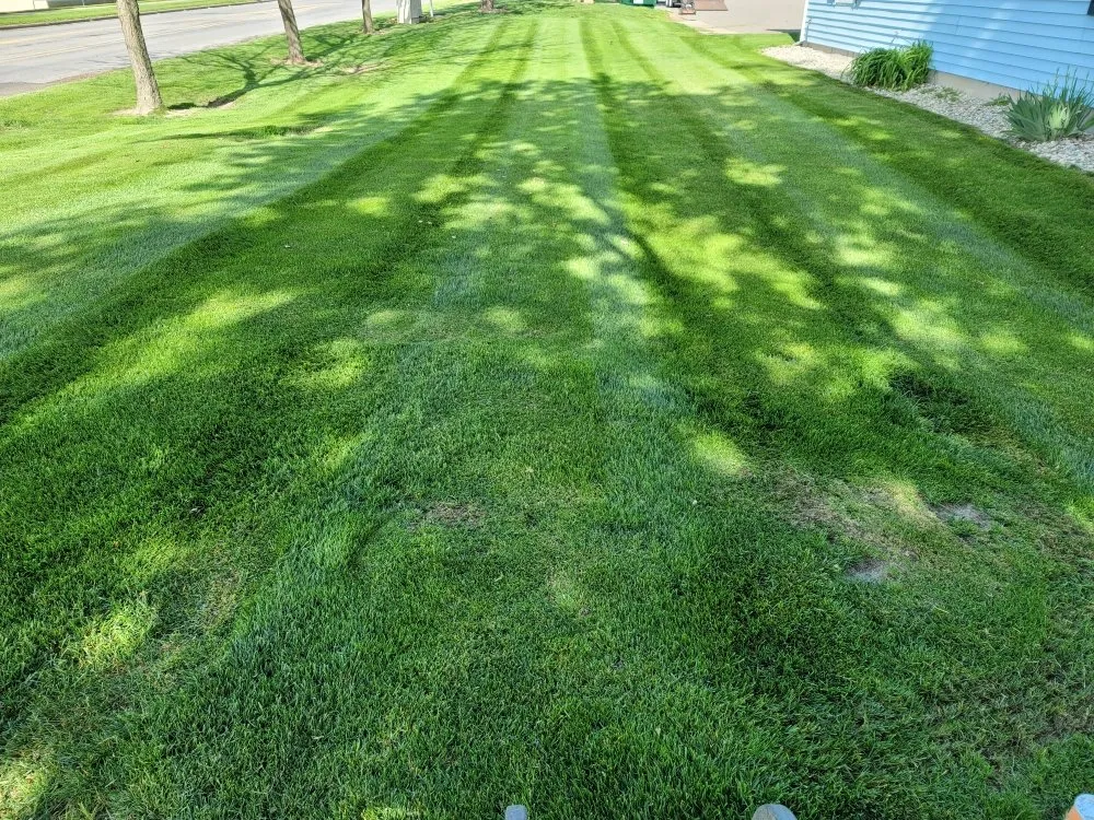 Top-rated landscaping services in Hastings, MI by Silver Edge Pro Lawn Care