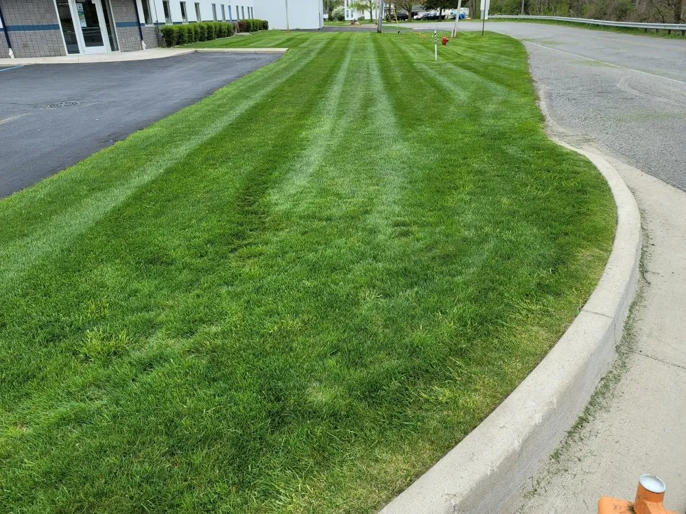 Trusted yard maintenance in Hastings, MI by Silver Edge Pro Lawn Care