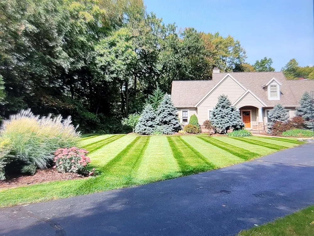 Professional residential landscaping with custom design in Hastings, MI by Silver Edge Pro Lawn Care