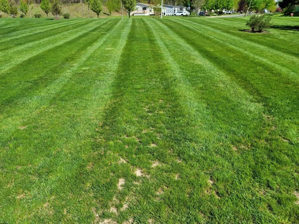 Professional yard maintenance for residential properties across Hastings, MI - Silver Edge Pro Lawn Care