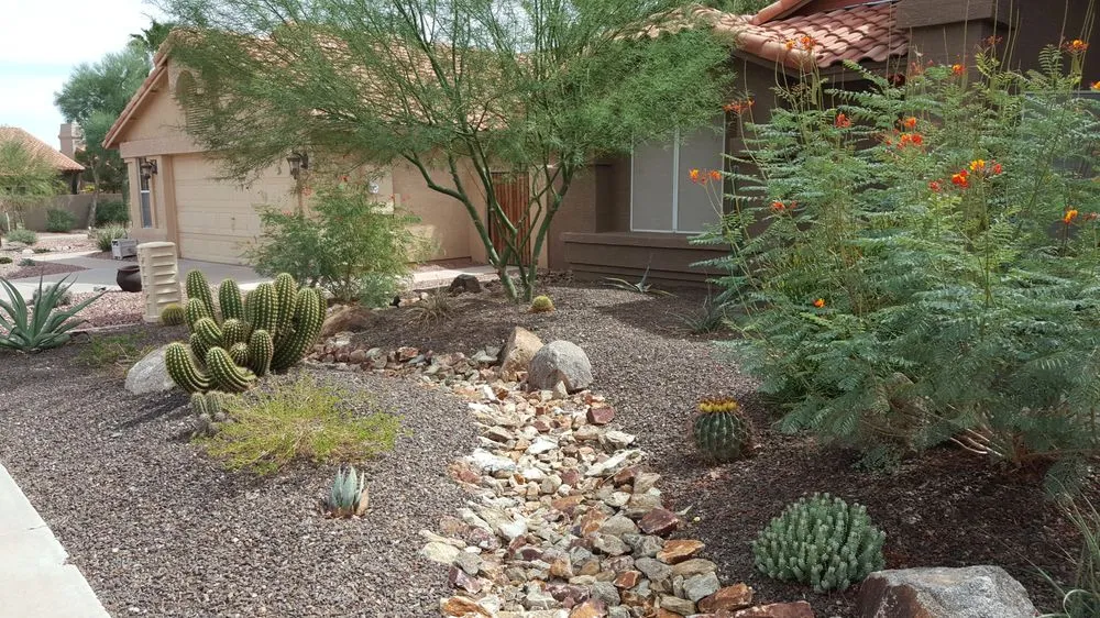 Custom landscape installation experts serving Chandler, AZ - Silver Fern Landscaping