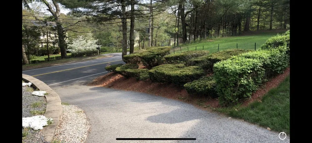 Local lawn mowing service in Norwell, MA - Silver Fern Landscaping