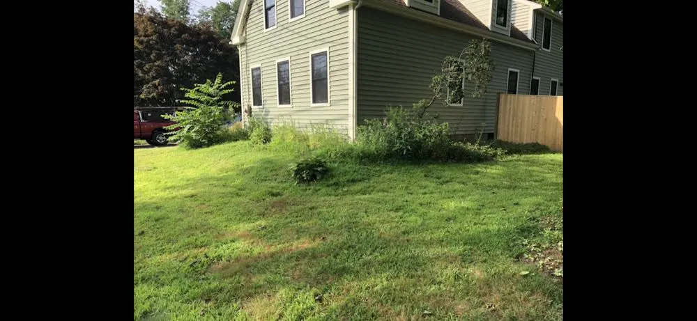 Expert yard cleanup service in Norwell, MA by Silver Fern Landscaping