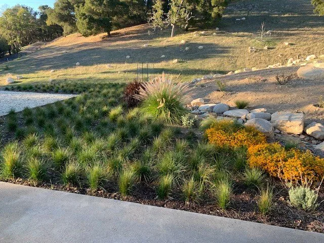 Custom yard maintenance for outdoor upgrades across Arroyo Grande, CA - Silver Fox Landscapes