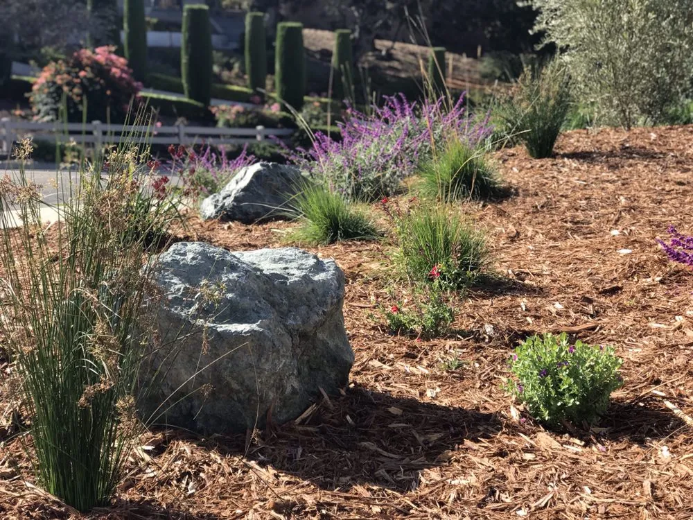 Custom landscape installation for beautiful yards across Arroyo Grande, CA - Silver Fox Landscapes