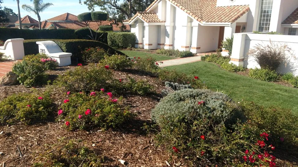 Affordable lawn mowing service experts serving Arroyo Grande, CA - Silver Fox Landscapes