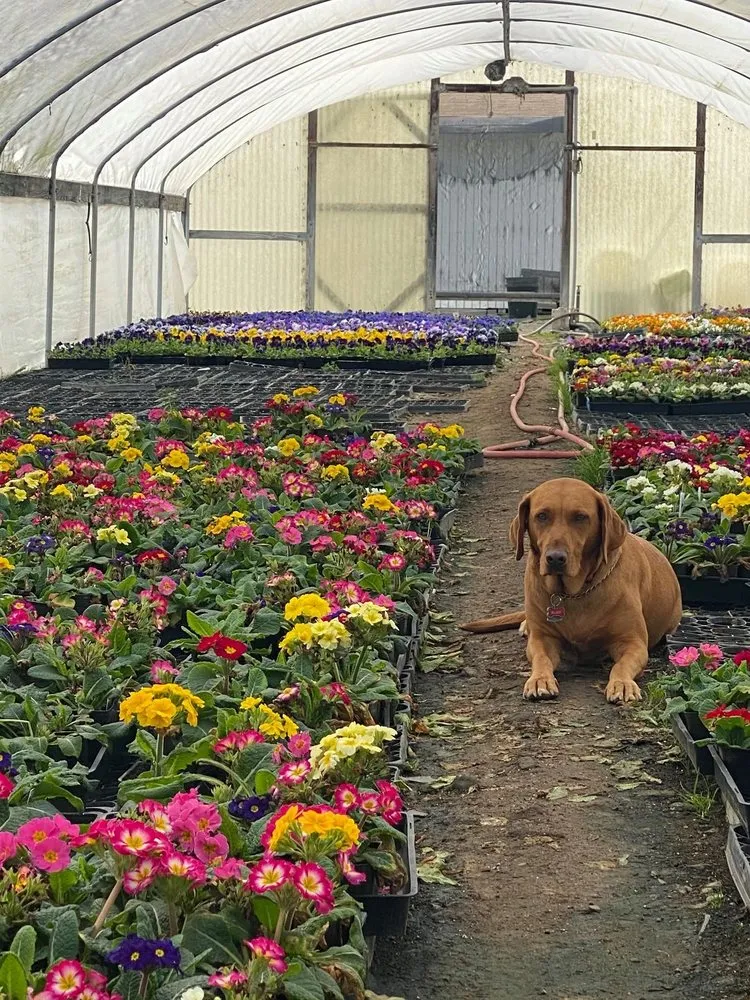 Custom landscape installation for homes across Arroyo Grande, CA - Silver Fox Landscapes