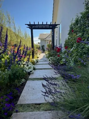 Silver Fox Landscapes