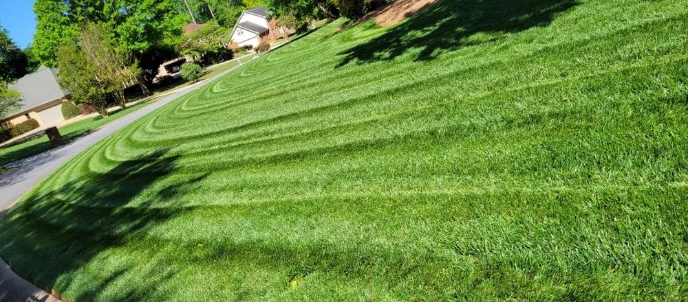 Top-rated yard maintenance experts serving Duluth, GA - Silver Fox Lawn Care