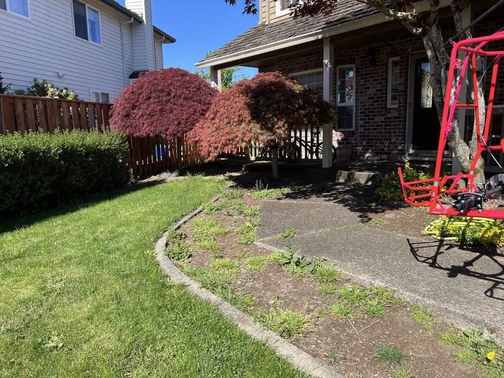 Reliable lawn care service for homes across Independence, OR - Silver Fox Lawn Care