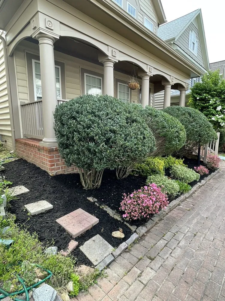 Expert yard maintenance for beautiful yards across Springfield, VA - Silver Hill Commercial Services