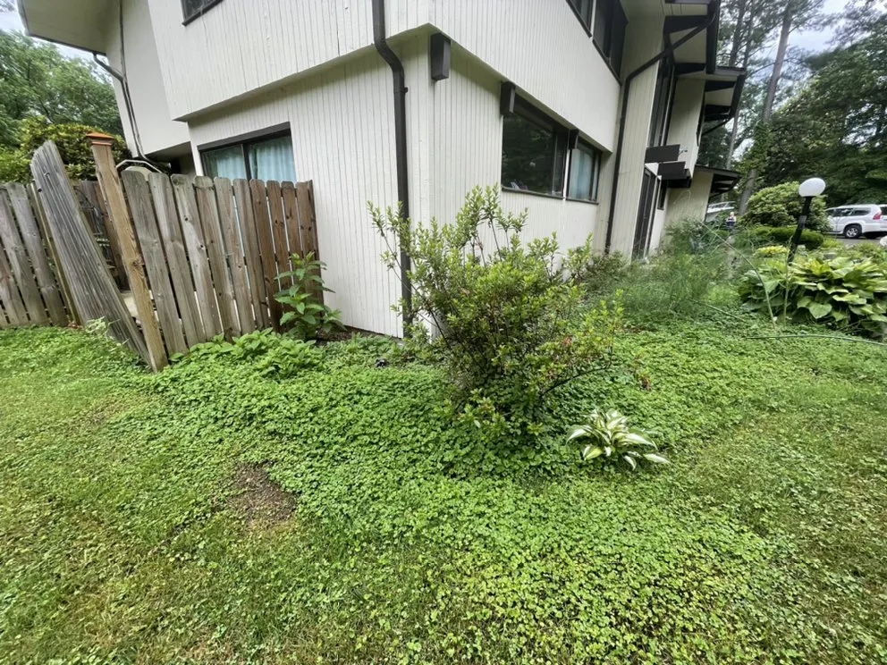 Affordable yard maintenance in Springfield, VA by Silver Hill Commercial Services