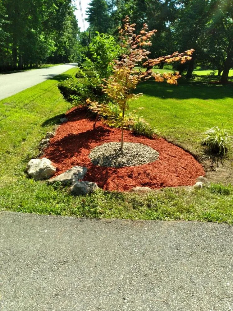 Local yard maintenance for residential properties in Springfield, VA by Silver Hill Commercial Services