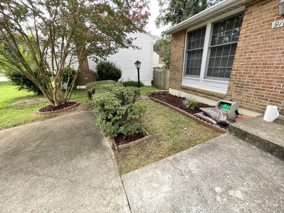 Reliable yard cleanup service for year-round maintenance across Springfield, VA - Silver Hill Commercial Services