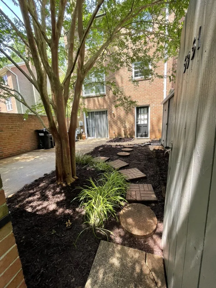 Trusted yard cleanup service in Springfield, VA by Silver Hill Commercial Services