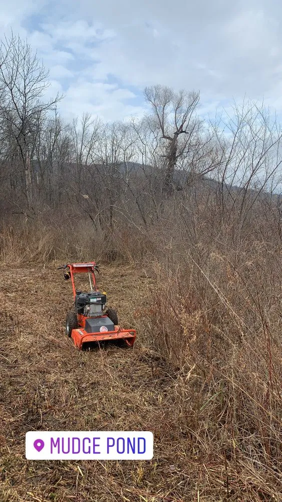 Professional landscape installation for homes across Sharon, CT - Silver Lake Land Care