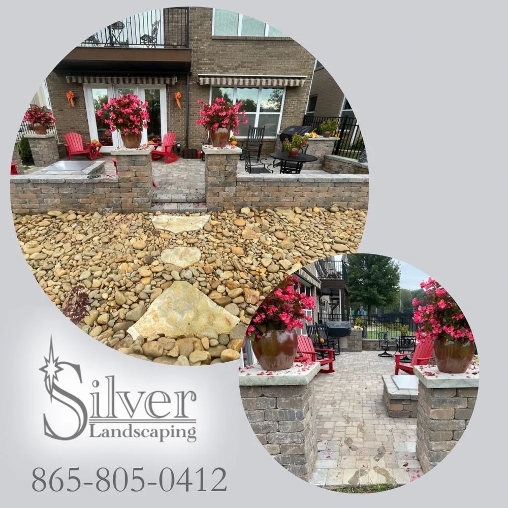 Expert yard cleanup service in Powell, TN - Silver Landscaping
