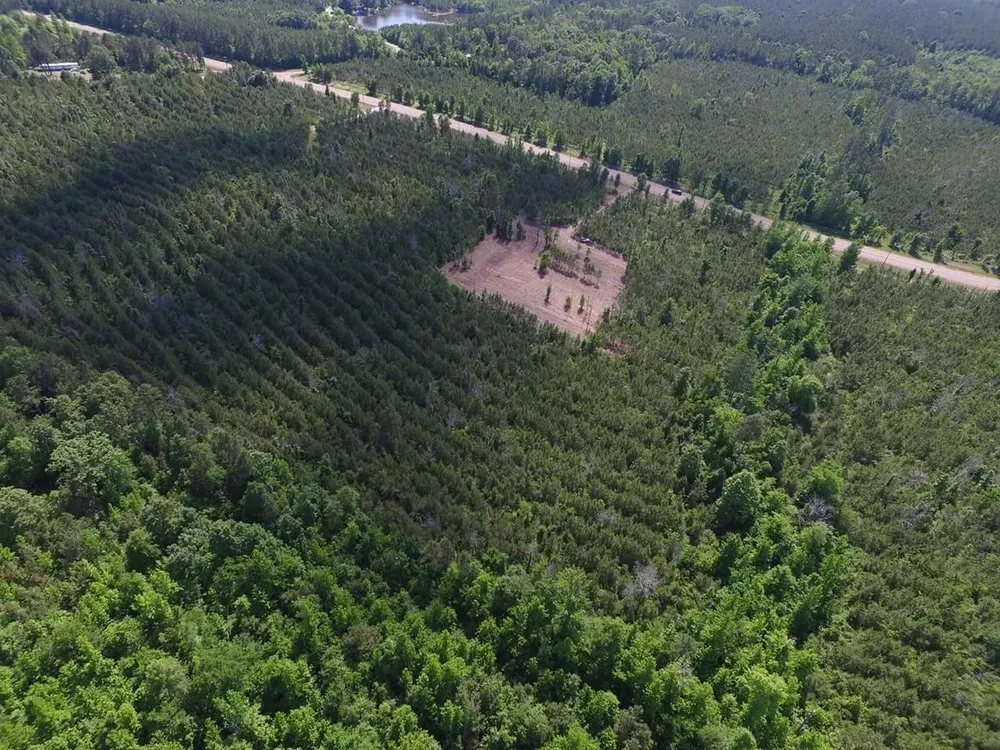 Reliable residential landscaping experts serving West Point, MS - Silver Leaf Construction